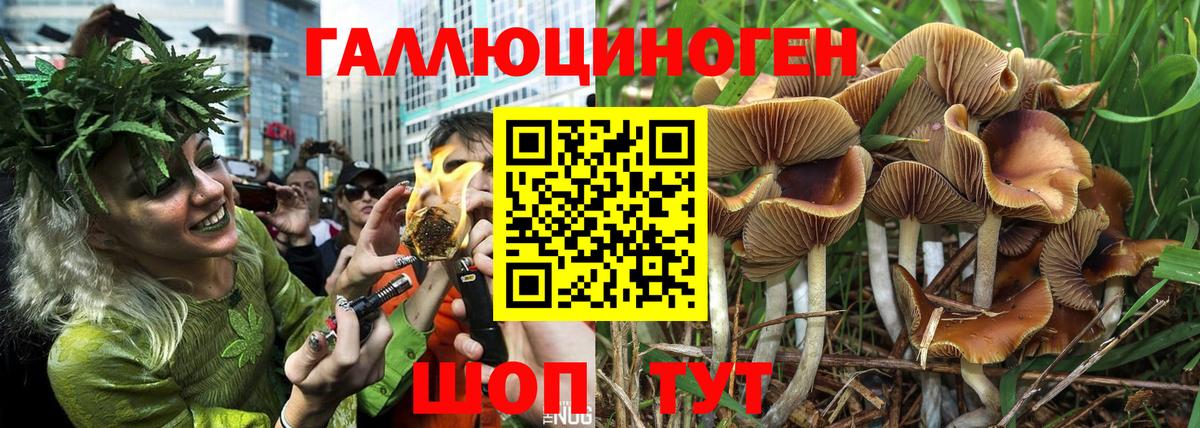 Псилоцибиновые грибы мицелий  Вход с VPN  Псилоцибиновые грибы Psilocybe  Первоуральск 